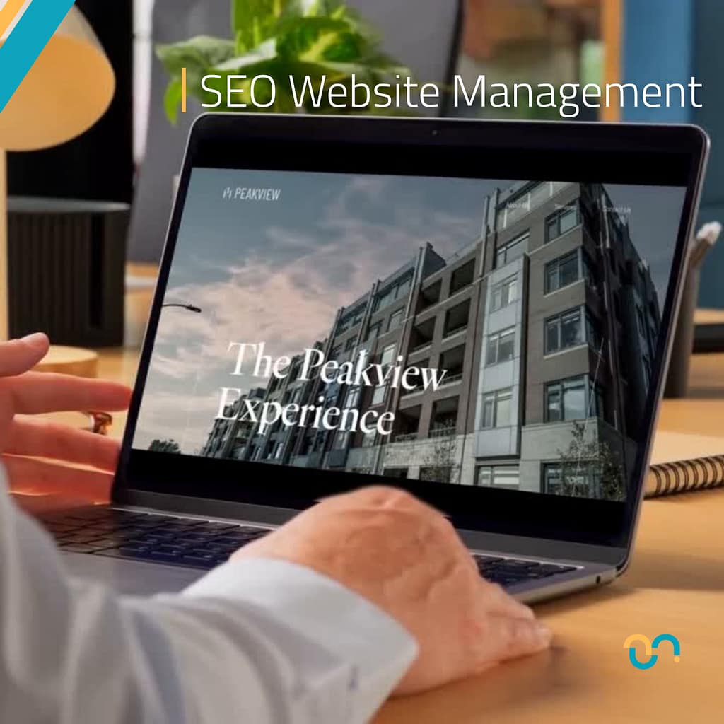 Peakview SEO Website Project